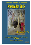 P2018